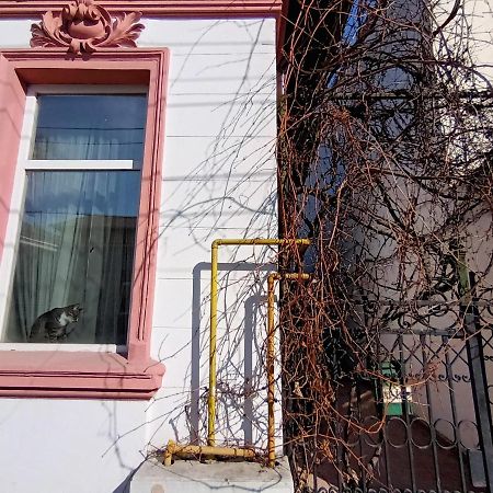 Apartmán Casa Liveni Bukurešť Exteriér fotografie