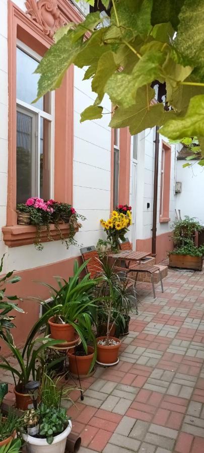 Apartmán Casa Liveni Bukurešť Exteriér fotografie